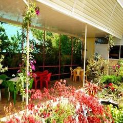 Гостевой дом Пальмира, Лазаревское, Краснодарский край