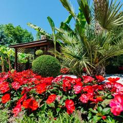 Отель Черное море, Лазаревское, Краснодарский край