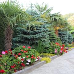 Отель Черное море, Лазаревское, Краснодарский край