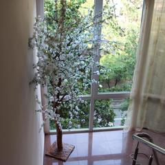 Гостиница Аквамарин, Лазаревское, Краснодарский край