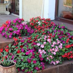 Гостевой дом На Улице Единство 40, Лазаревское, Краснодарский край