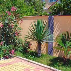 Гостевой дом На Улице Единство 40, Лазаревское, Краснодарский край