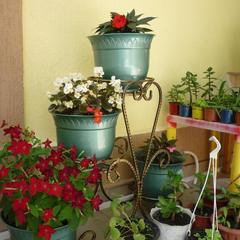 Гостевой дом Яна, Лазаревское, Краснодарский край