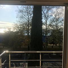 Мини-гостиница Дельфинотерапия Инн, Лазаревское, Краснодарский край