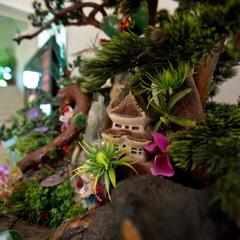 Гостевой дом Мирный, Лазаревское, Краснодарский край