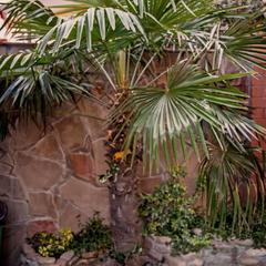 Гостевой дом Алекса, Лазаревское, Краснодарский край