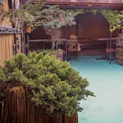 Гостевой дом Алекса, Лазаревское, Краснодарский край