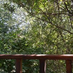 Гостевой дом HappyWood, Лазаревское, Краснодарский край