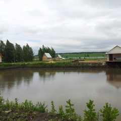 Турбаза Казанский луг, Ламское, Липецкая область