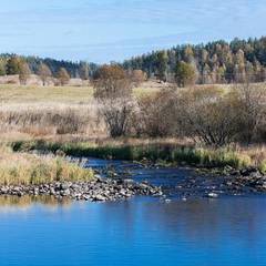Коттеджный комплекс Дачи Микли, Лахденпохья, Республика Карелия