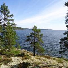 Коттеджный комплекс Дачи Микли, Лахденпохья, Республика Карелия