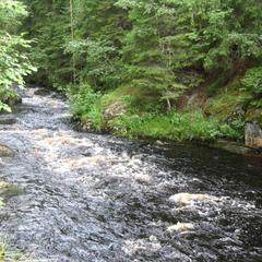 Гостевой дом Ихала, Лахденпохья, Республика Карелия