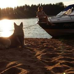 Коттеджный комплекс Дачи Микли, Лахденпохья, Республика Карелия