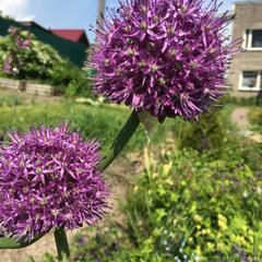 Дом отдыха Палкониеми, Лахденпохья, Республика Карелия