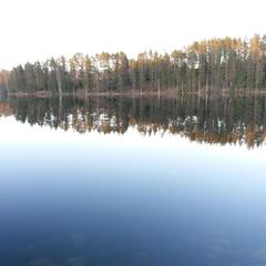 Гостевой дом Ихала, Лахденпохья, Республика Карелия