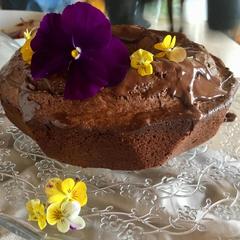 Дом отдыха Палкониеми, Лахденпохья, Республика Карелия