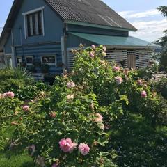 Дом отдыха Палкониеми, Лахденпохья, Республика Карелия