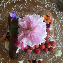 Дом отдыха Палкониеми, Лахденпохья, Республика Карелия