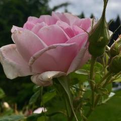 Дом отдыха Палкониеми, Лахденпохья, Республика Карелия