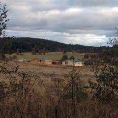 Коттеджный комплекс Дачи Микли, Лахденпохья, Республика Карелия