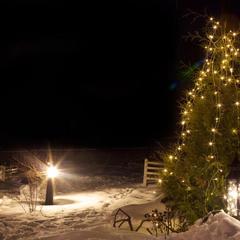 Дом отдыха Палкониеми, Лахденпохья, Республика Карелия