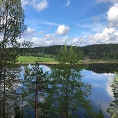 Парк-отель Парк-Отель Хутор Ярви, Лахденпохья, Республика Карелия