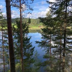 Парк-отель Парк-Отель Хутор Ярви, Лахденпохья, Республика Карелия