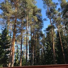 Отель Хвойный парк, Рускеала, Республика Карелия, Республика Карелия