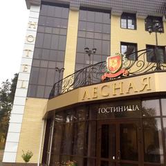 Гостиница Лесная, Ленёвка, Свердловская область