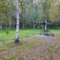 Парк-отель Парк-Отель Хутор Ярви, Лахденпохья, Республика Карелия