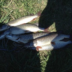 Гостевой дом Деревня Викингов, Лебедянь, Липецкая область