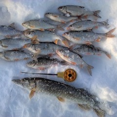 Гостевой дом Деревня Викингов, Лебедянь, Липецкая область