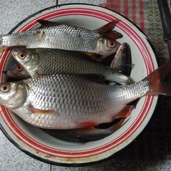 Гостевой дом Деревня Викингов, Лебедянь, Липецкая область