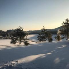 Парк-отель Парк-Отель Хутор Ярви, Лахденпохья, Республика Карелия