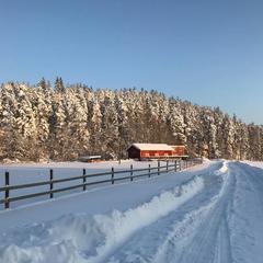 Парк-отель Парк-Отель Хутор Ярви, Лахденпохья, Республика Карелия