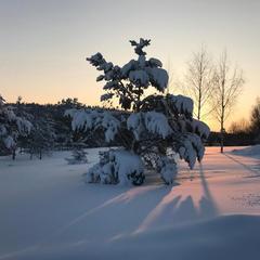 Парк-отель Парк-Отель Хутор Ярви, Лахденпохья, Республика Карелия