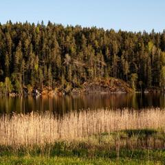 Парк-отель Парк-Отель Хутор Ярви, Лахденпохья, Республика Карелия