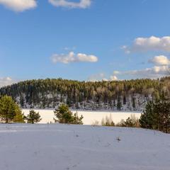 Парк-отель Парк-Отель Хутор Ярви, Лахденпохья, Республика Карелия
