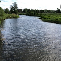 Гостиница Лежневская Лагуна, Лежнево, Ивановская область
