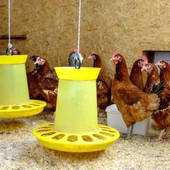 Парк-отель Парк-Отель Хутор Ярви, Лахденпохья, Республика Карелия