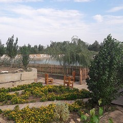 База отдыха У Михалыча, Ленинск, Волгоградская область