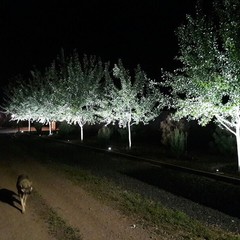 База отдыха У Михалыча, Ленинск, Волгоградская область