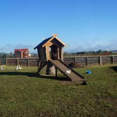 База отдыха Степаново городище, Ленск (Пермский край), Пермский край