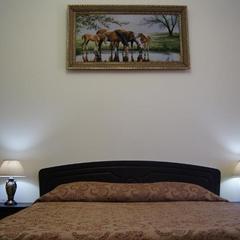 Отель Арарат, Лермонтов, Ставропольский край