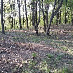 Кемпинг  Горизонт, Лермонтово, Краснодарский край