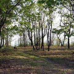 Кемпинг  Горизонт, Лермонтово, Краснодарский край