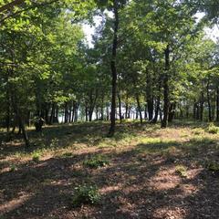 Кемпинг  Горизонт, Лермонтово, Краснодарский край