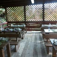 База отдыха Камелия, Лермонтово, Краснодарский край