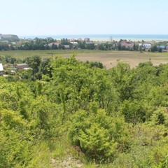 База отдыха Мираж, Лермонтово, Краснодарский край