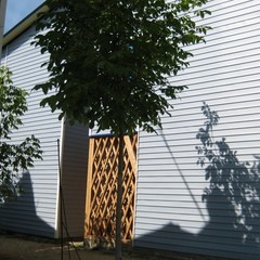 База отдыха Смородина, Лермонтово, Краснодарский край